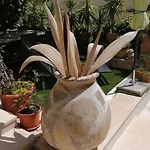 Appartement Romantika *