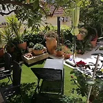 Appartement Romantika *