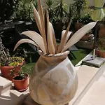 דירה Romantika דוברובניק
